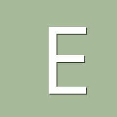 Elane Alves Vasconcelos 