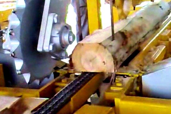 Acidentes de trabalho com máquinas causaram mais de 25 mil amputações 