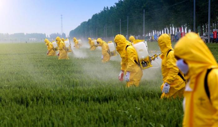 Segurança do Trabalho e Meio Ambiente: Uma Relação Sustentável 