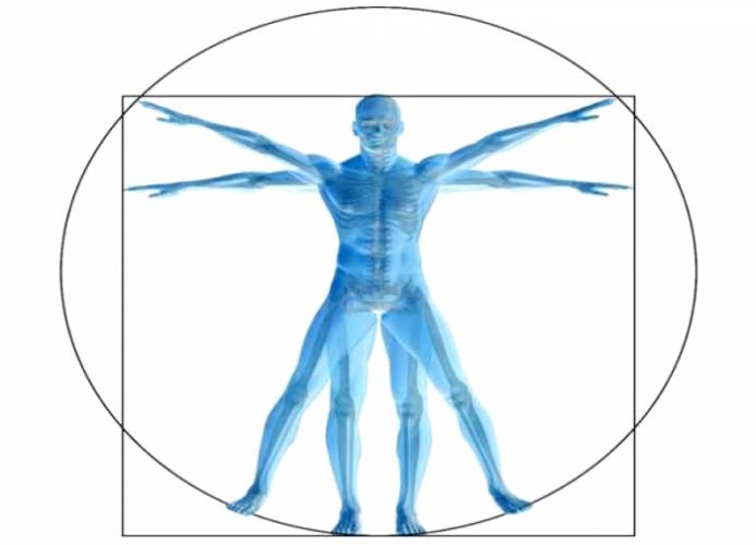Ergonomia, Qualidade e Segurança do Trabalho: Estratégia Competitiva para Produtividade da Empresa