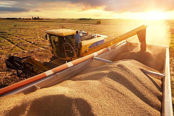 Prevenção de Acidentes: Como Garantir a Segurança nas Atividades Agrícolas 