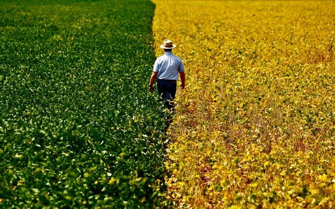 Produtores querem mudar normas de medicina e segurança do trabalho 
