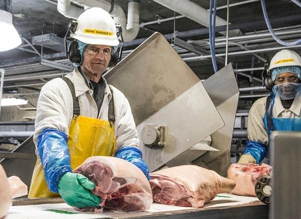 NR 36: Saúde e Segurança dos Trabalhadores nas Indústrias de Abate 