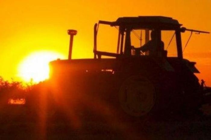 Gestão de Segurança do Trabalho e as Medidas de Proteção na Zona Rural