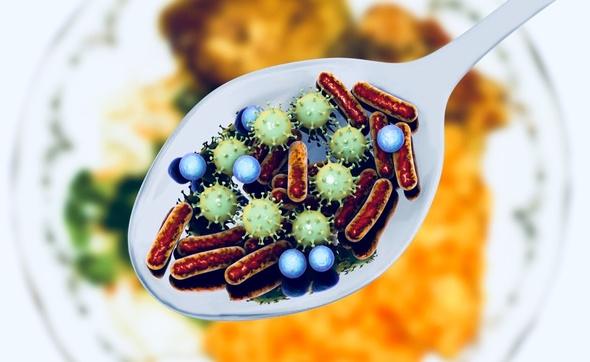 Segurança Alimentar: Cuidados para Evitar Contaminações Microbiológicas 