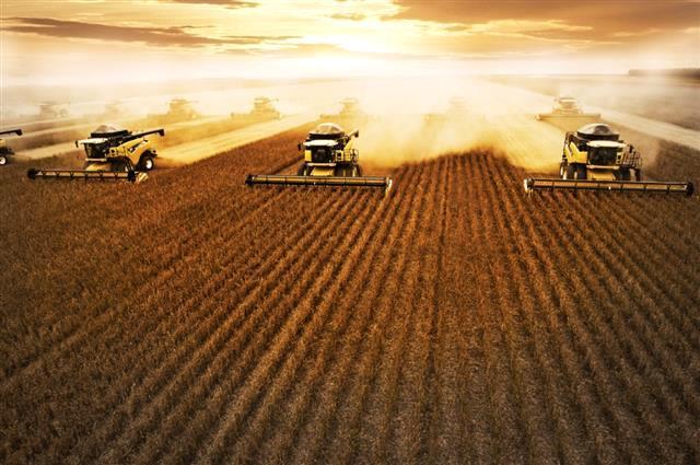 Acidentes de Trabalho no Agronegócio: O Agronegócio Brasileiro 