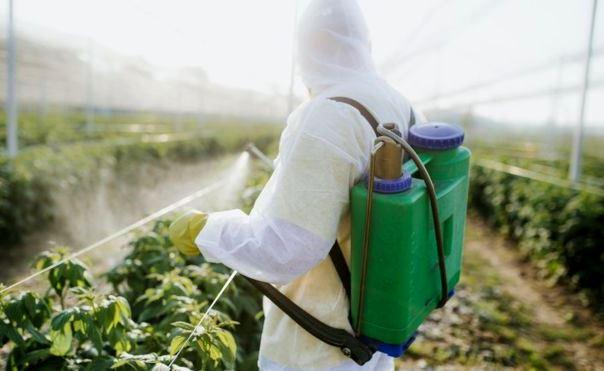 Agrotóxico mais usado no Brasil é associado ao surgimento de câncer nos Estados Unidos