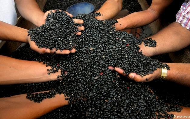 Segurança alimentar sob risco de retrocesso no governo Bolsonaro 